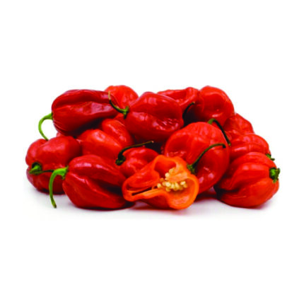 Green Bonnet Pepper