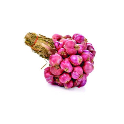Shallot